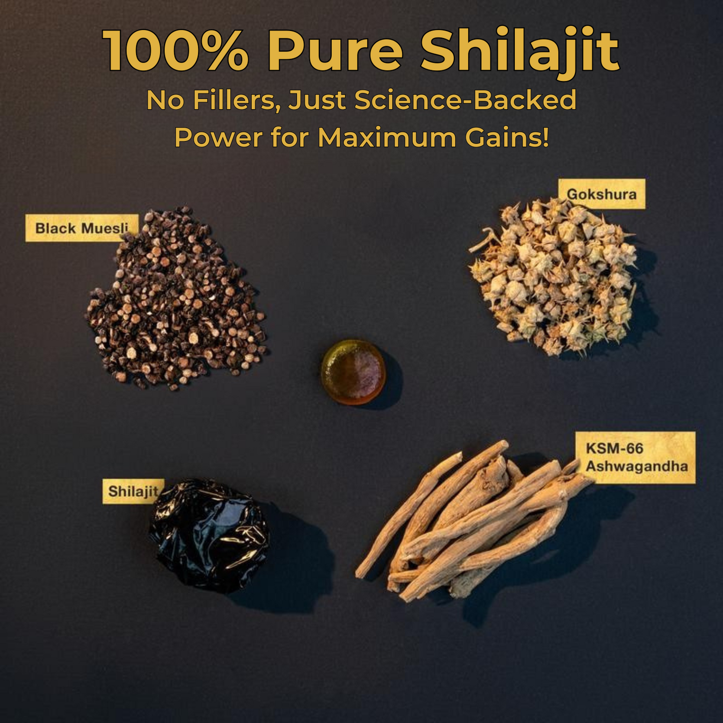 Himalayan Shilajit Gummies